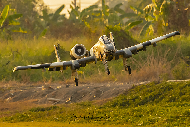 AVWindow: A10-Warthog Radio controlled Model Aircraft