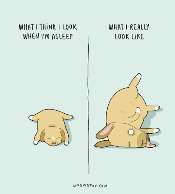30 Hilarious Comics About Animals That Just Get Us