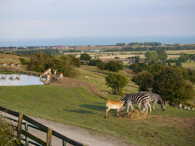 Take a look round the amazing Giraffe Lodge and UK safari experience at Port Lympne Reserve in Kent. An amazing stay for any couple wanting a unique and romantic break.