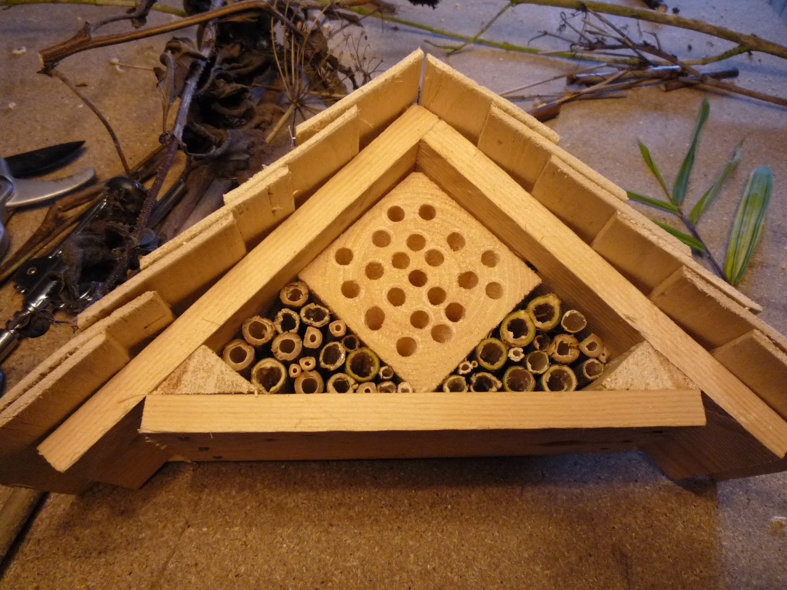 Insect house for mason bees