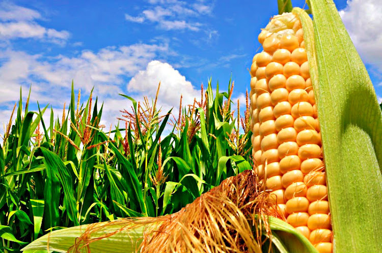 Producción Agrícola Producción Agrícola