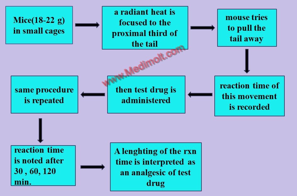 Screening Methods for Analgesic Activity on Animal Model ~ MediMolt