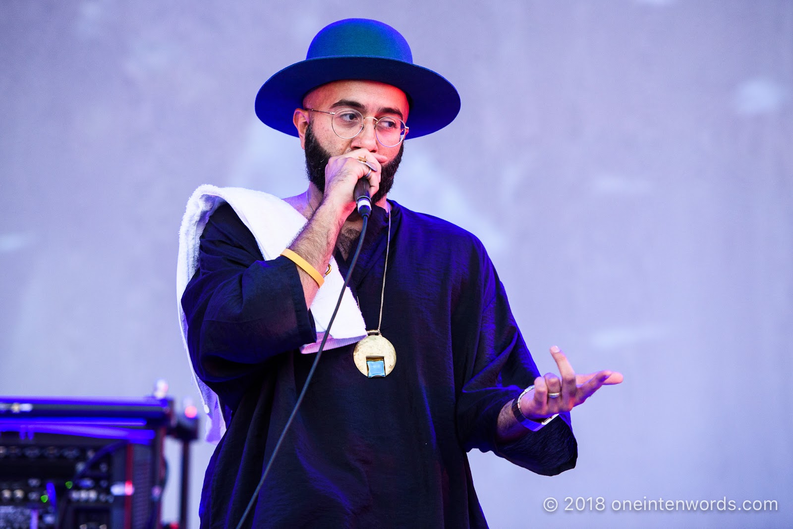 one in ten words: Hillside 2018: Day 3: Narcy - Concert Photos