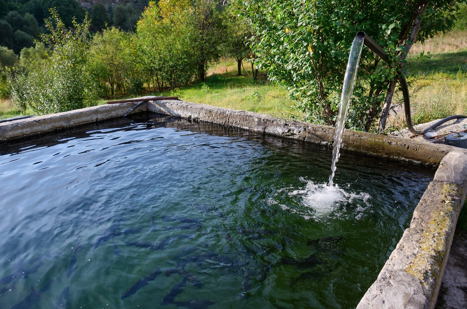 Сероводородные озера в калуге баня цена