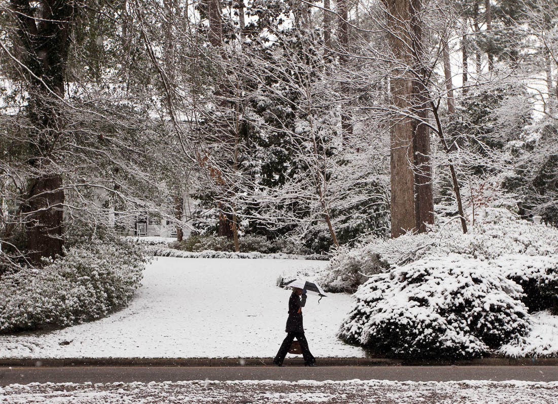 GRAY WHITLEY [+] photojournal Winter Weather Wilson NC