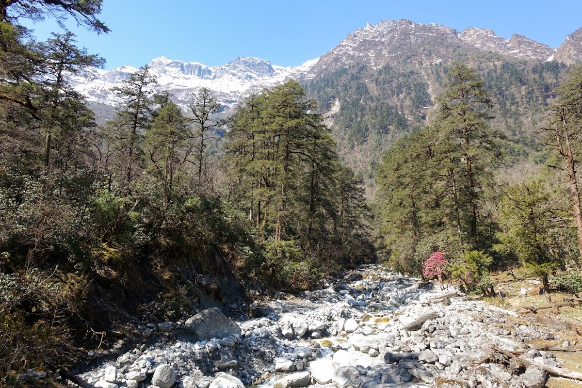 200км по красно-белым черточкам.. Around Annapurna. март-апрель 2017