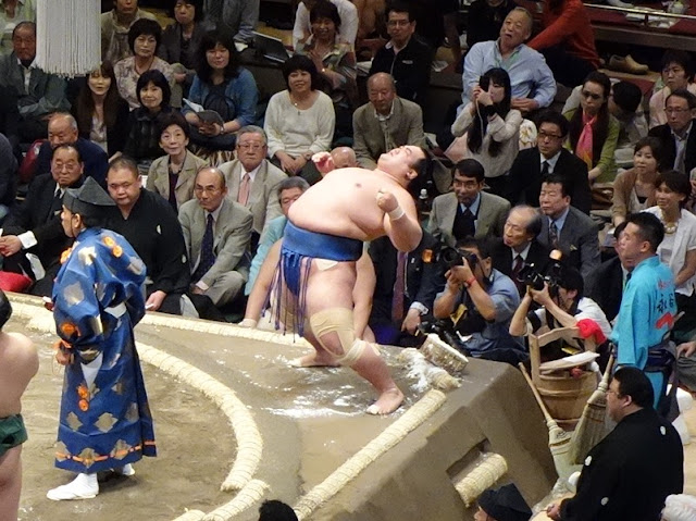 Sumo wrestler bends
