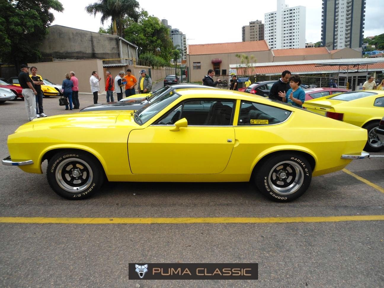 puma mustang