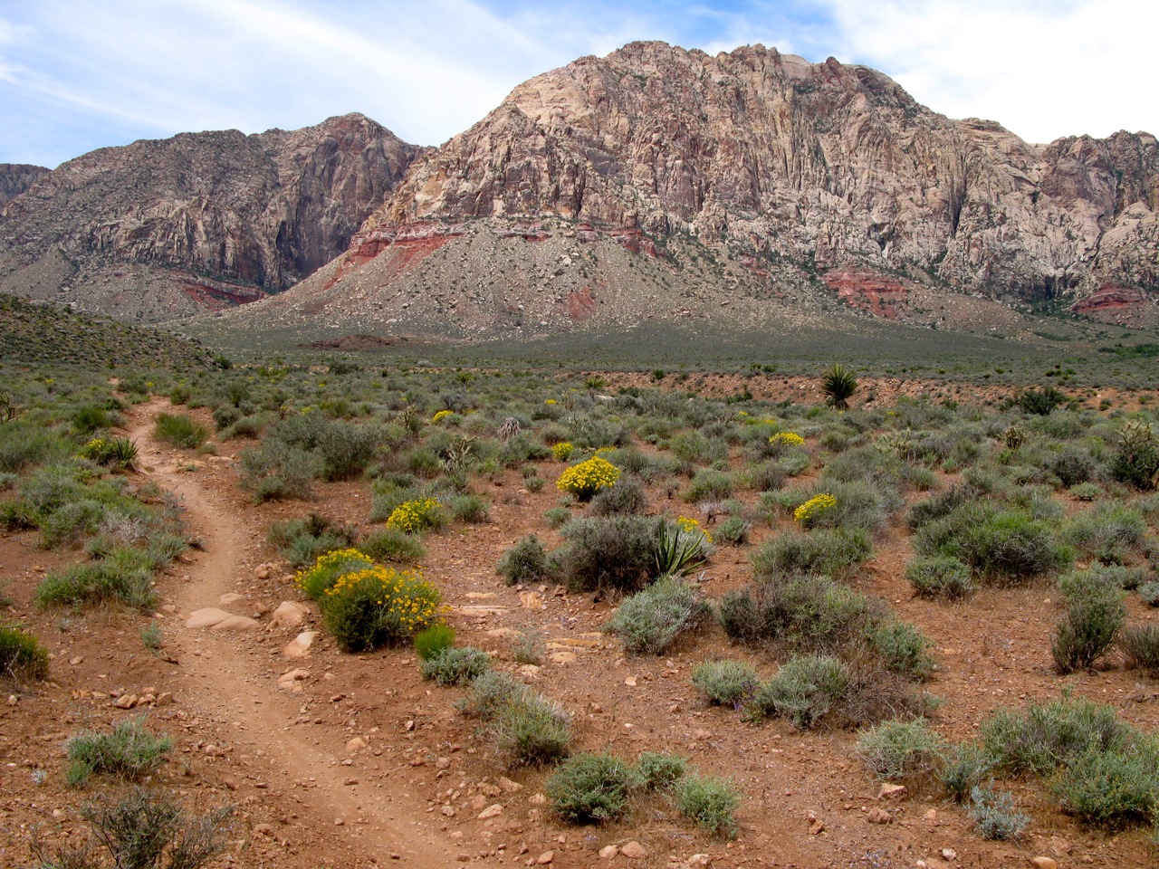 peterama Blue Diamond, NV