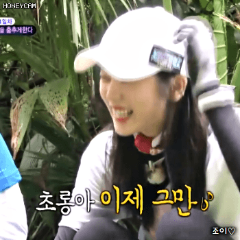 171117 정글의법칙 에이핑크 초롱이.gif | 인스티즈