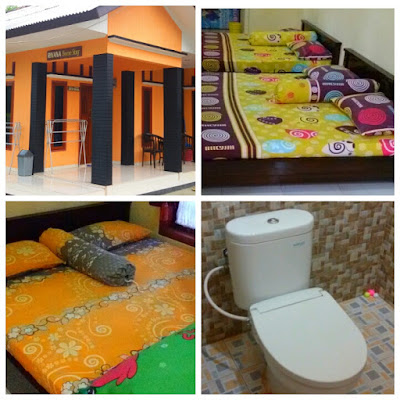 Penginapan Homestay Rivana 2, Pilihan Harga Penginapan Homestay Pantai Batukaras