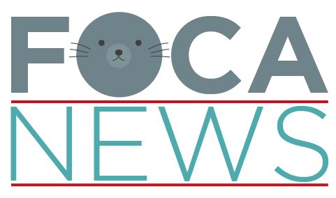 Foca News
