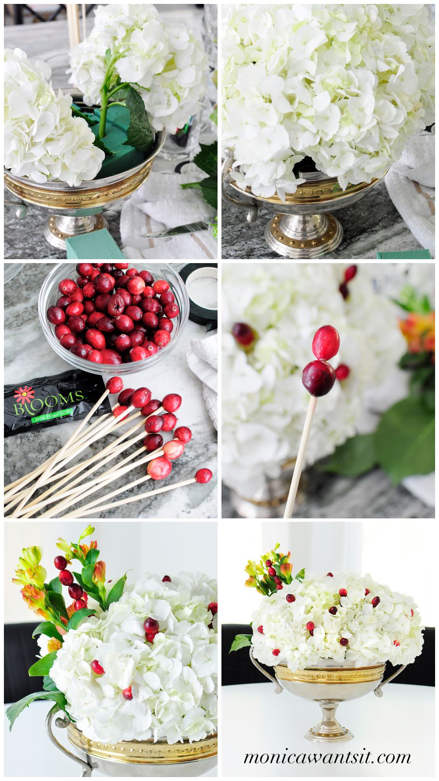 White hydrangeas paired with cranberries and greenery make a simple and elegant centerpiece for any holiday tablescape. White hydrangeas paired with cranberries and greenery make a simple and elegant centerpiece for any holiday tablescape.