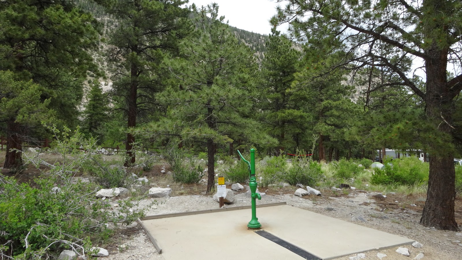 National Forest Camper Mt Princeton Campground