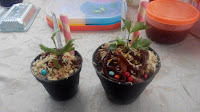 Ice Cream Pot mintainformasi.blogspot.com
