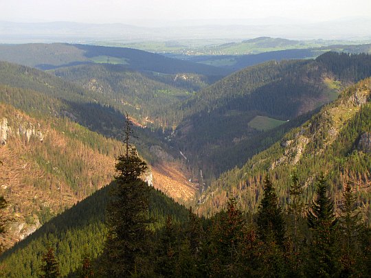 Widok na Dolinę Chochołowską.