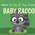 What To Do If You Found A Baby Raccoon #infographic