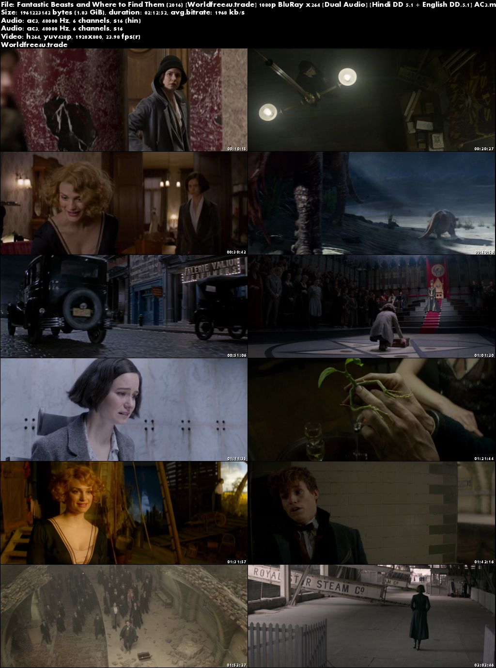 Fantastic Beasts and Where to Find Them 2016 BRRip 1080p Dual Audio Hindi English