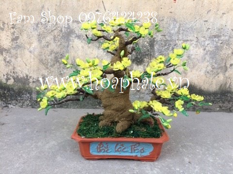 Hoa đá pha lê tại Giảng Võ Hoa da pha le tai Giang Vo