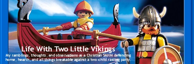 Life With Two Little Vikings