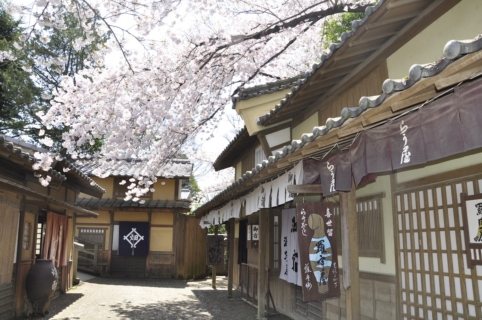 Buying Property in Japan, Foreclosed Japan Real Estate, Philippine Real Estate, NZ property