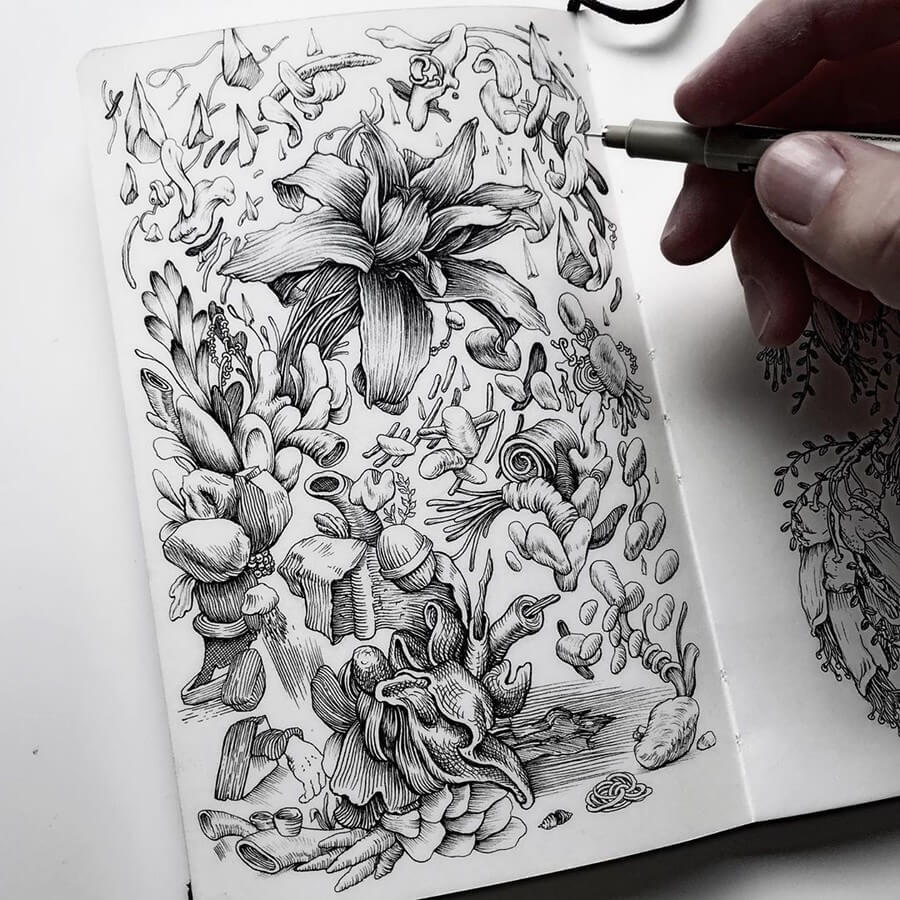 13-The-sketchbook-Tim-Ingle-Nature-Drawings-www-designstack-co