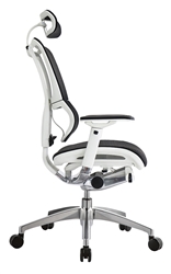 Advanced Ergonomic Office Chair