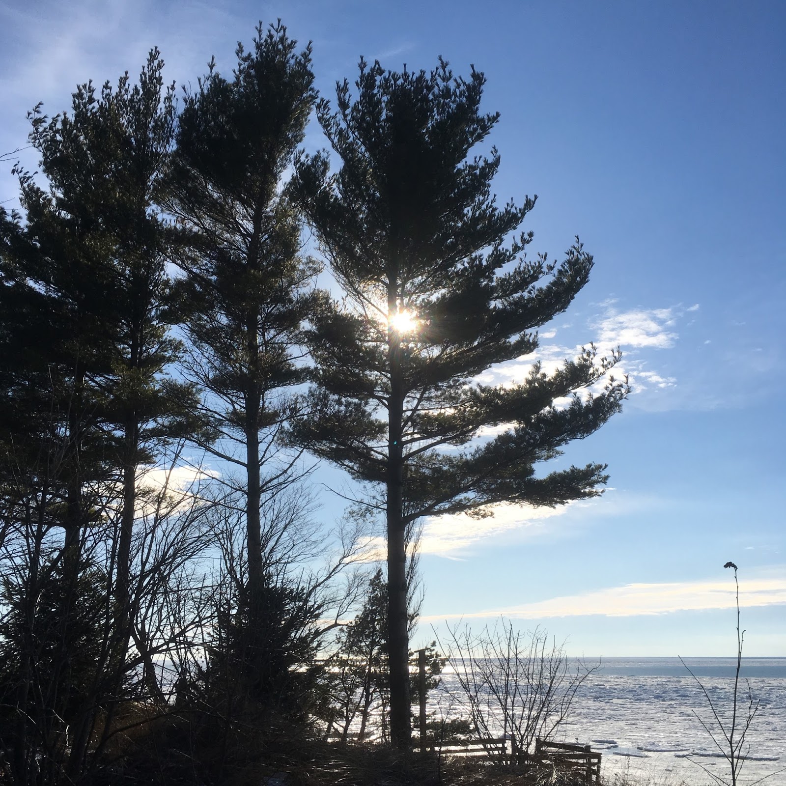 Quilts from the Little House Quilt for California Two