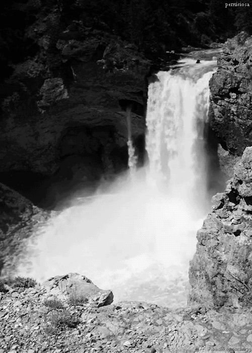 tumblr_mlxpjeO60U1raw1qjo1_500.gif