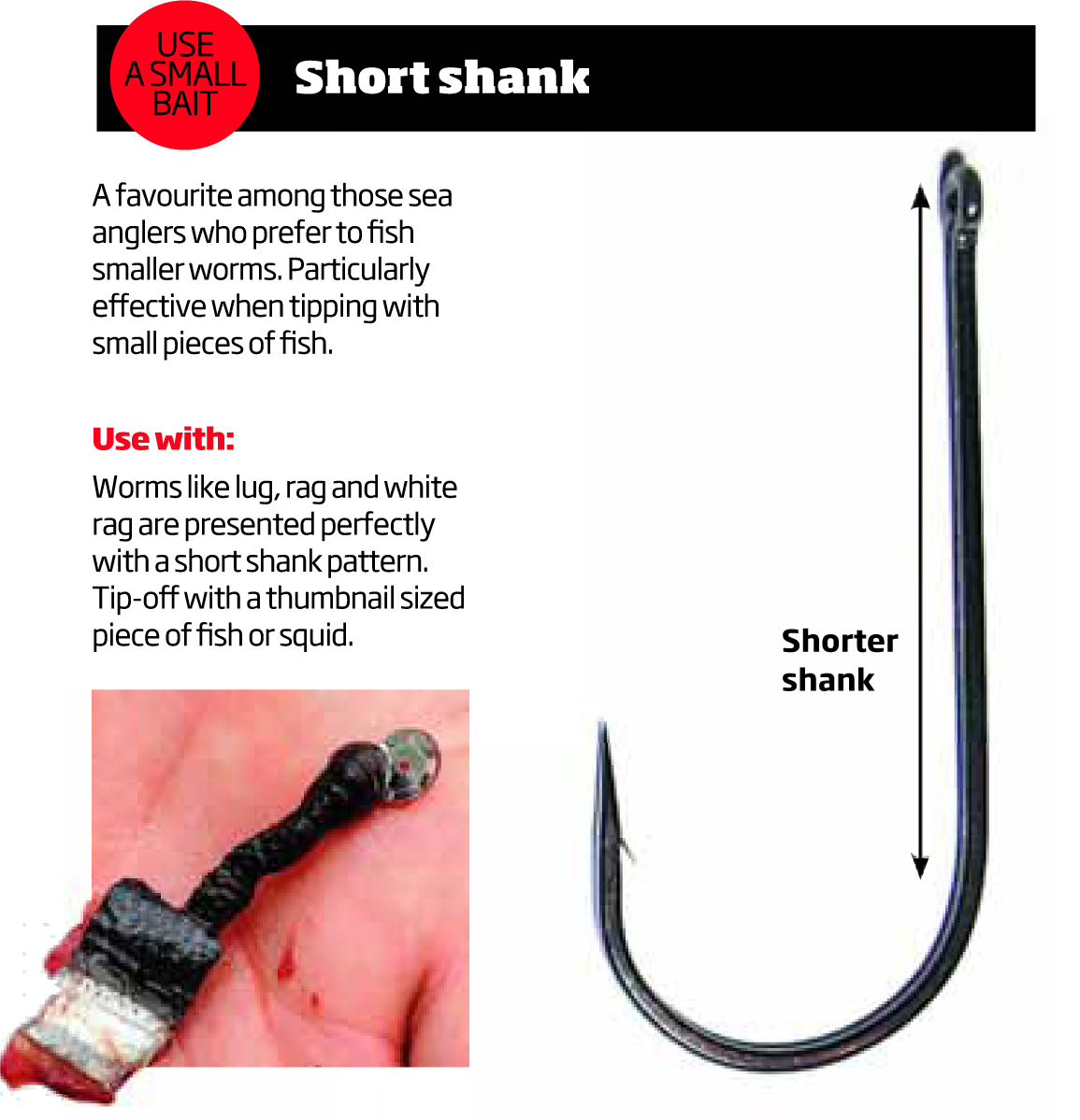 Which Sea Hooks Work Best?