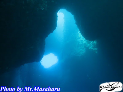 パラオ ダイビング ブルーホール 洞窟 太陽 光