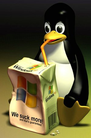 Suka Duka Migrasi Dari Windows Ke Linux