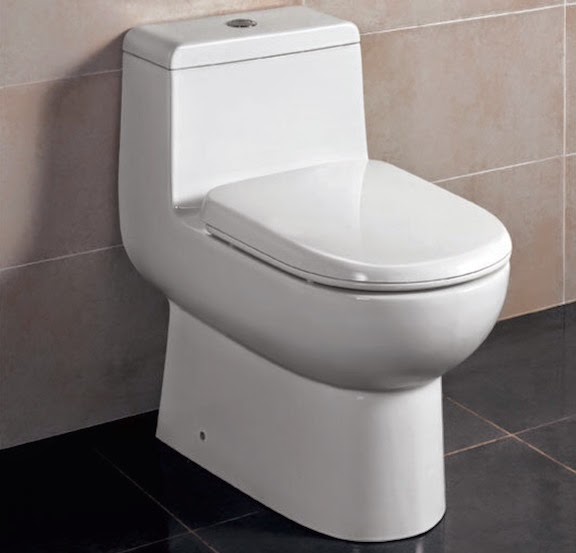Everything Toilets Eago Dual Ceramic Toilet Review Eago Dual Flush Ceramic Toilet Review