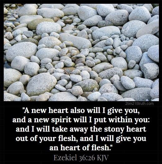 2 Timothy 2 15 Truth Verse Of The Day Ezekiel 36 26 KJV 2-timothy-2-15-truth-verse-of-the-day-ezekiel-36-26-kjv