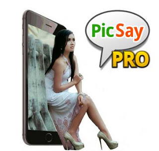 PicSay Pro Free Download Install PicSay Pro Full Version APK Android