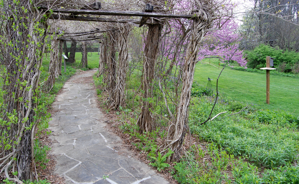 Daniel Boone Native Gardens Wedding Venue Daniel Boone Native Gardens Wedding Venue