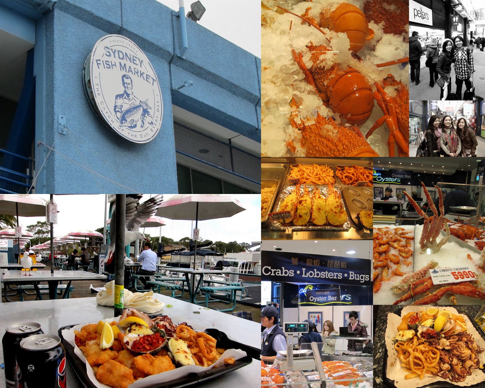 Annick In Aussie & Then Some Day 29 Sydney Fish Market, Bondi Beach