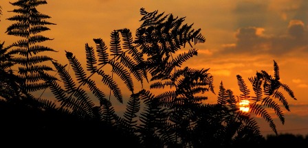 Frasi Per Un Figlio Morto Pensieri Lettere Dediche E Poesie Per Chi Non C E Piu Linkuaggio