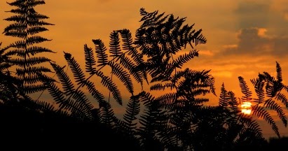 Frasi Di Natale X Figli.Frasi Per Un Figlio Morto Pensieri Lettere Dediche E Poesie Per Chi Non C E Piu Linkuaggio