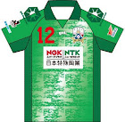 FC岐阜 2015年ユニフォーム-ホーム