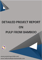 Pulp from Bamboo Project Report