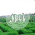 Wisata Labirin Pelaihari