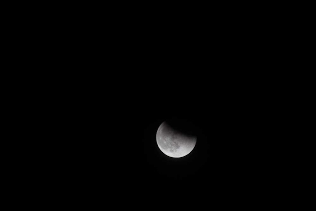 Lunar eclipse as night falls (Source: Palmia Observatory)