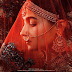 Kalank 10th Day Box Office Collection