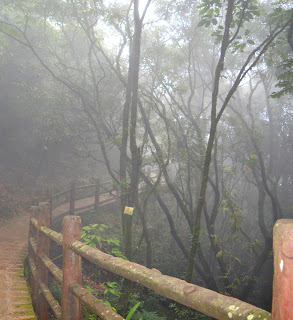 Path to the Arwah Caves