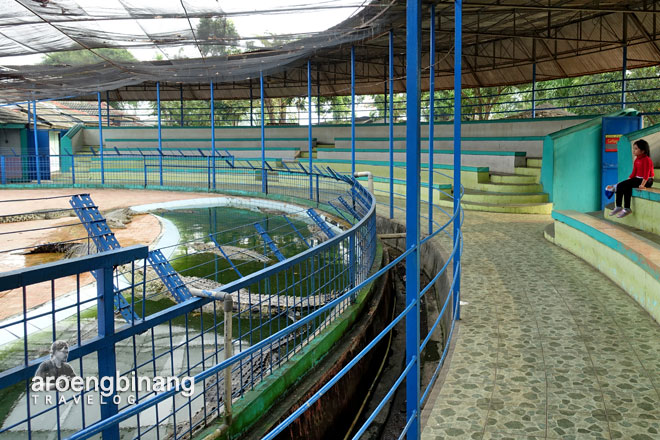 taman buaya indonesia jaya bekasi