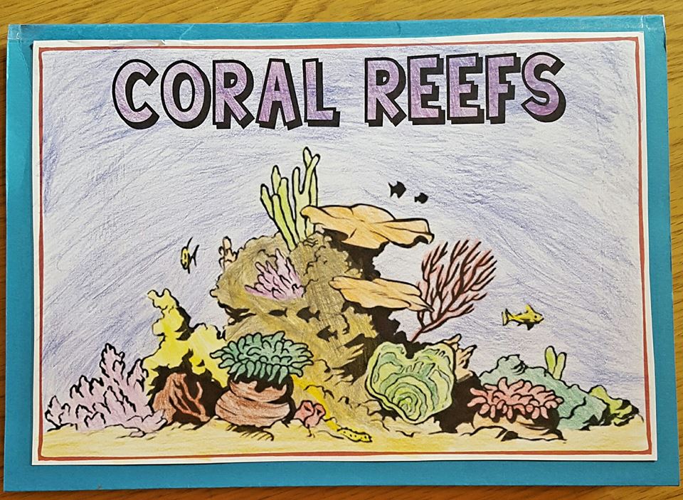 iman s home school coral reefs lapbook iman s home school coral reefs lapbook