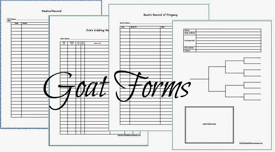 Goat Kidding Chart