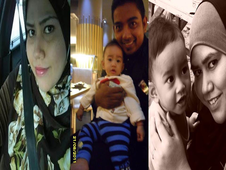 Perjalanan di Pentas Allah...: Lahirnya Muhammad Hadif Altamis