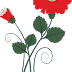 Free Vector Flower Red Chrisant